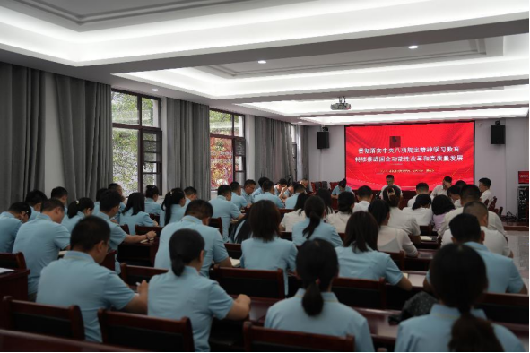 香港免费资料六曲大全