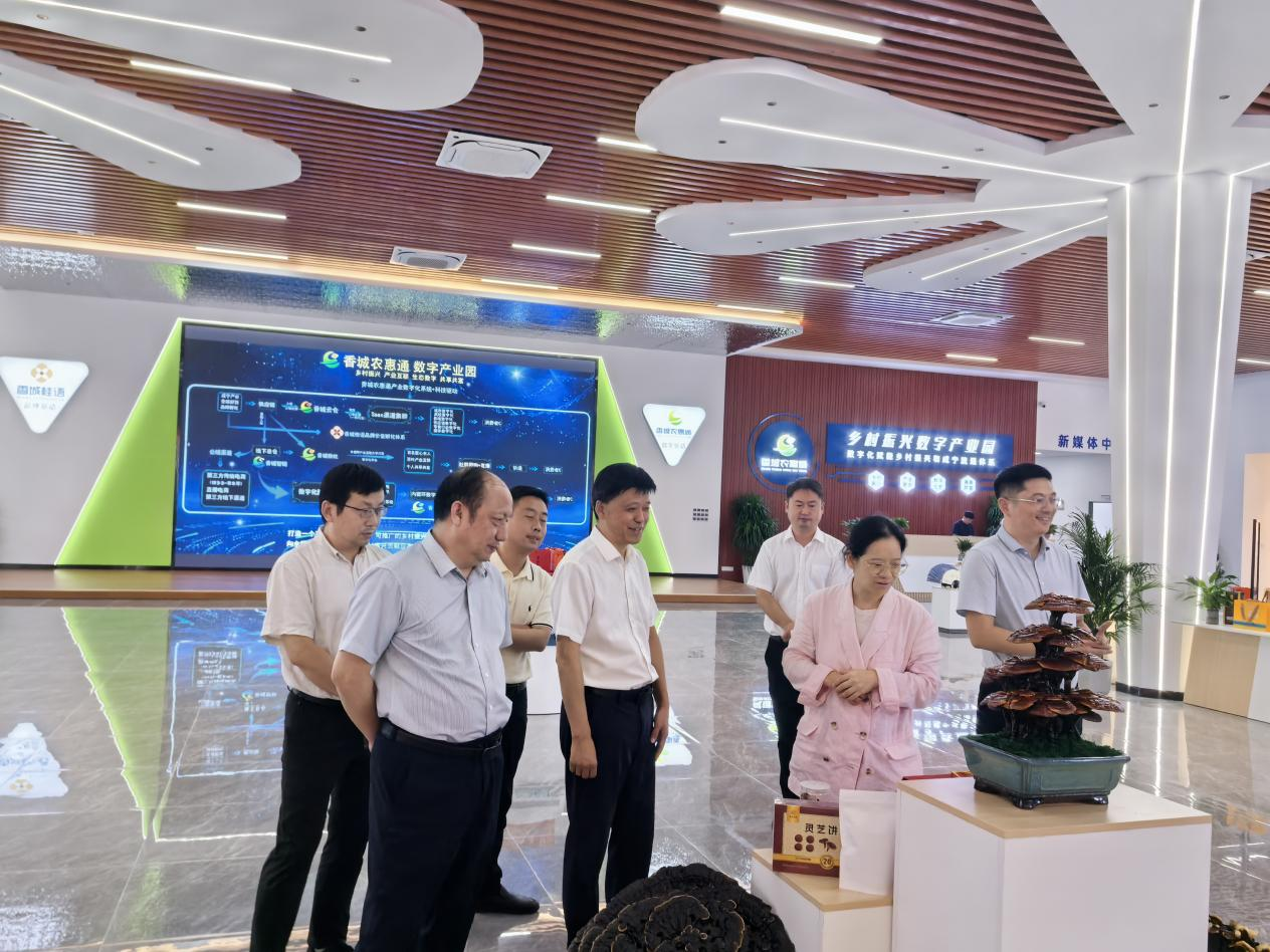 香港免费资料六曲大全