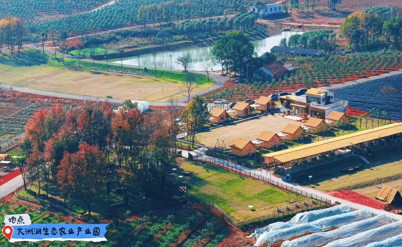 香港免费资料六曲大全