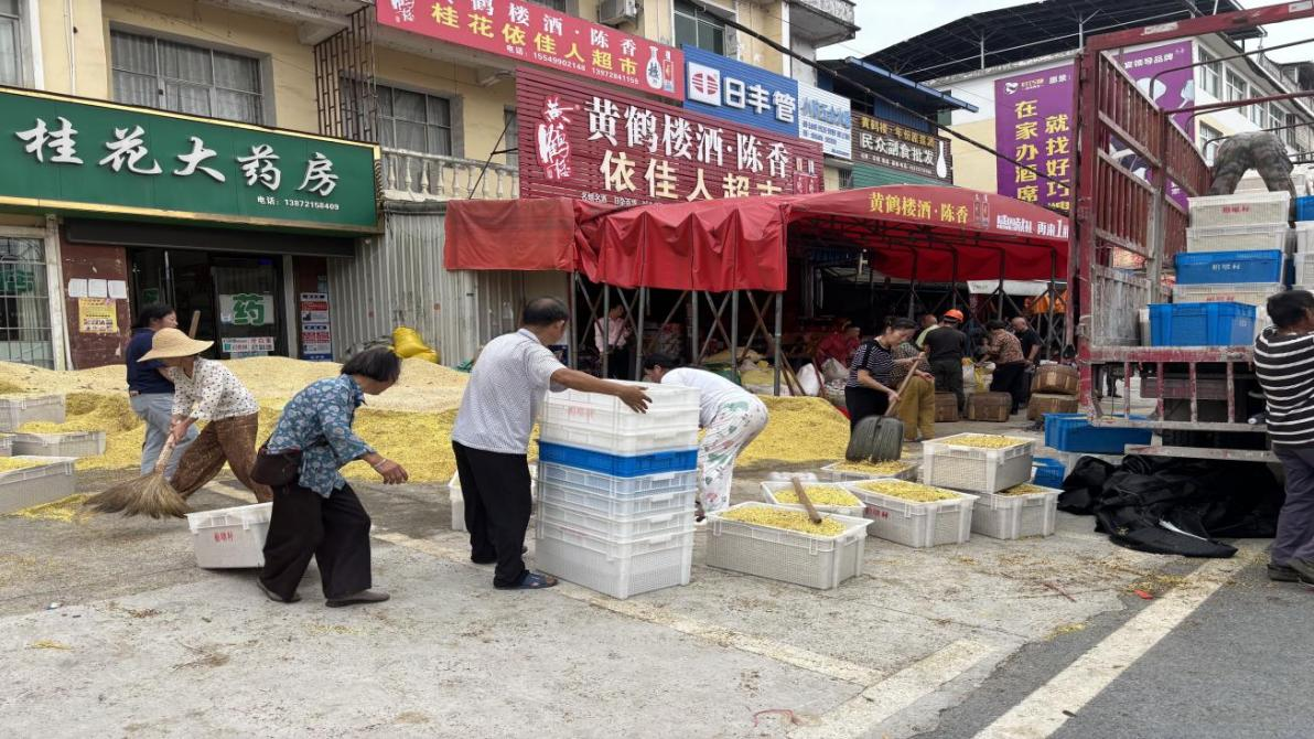 香港免费资料六曲大全