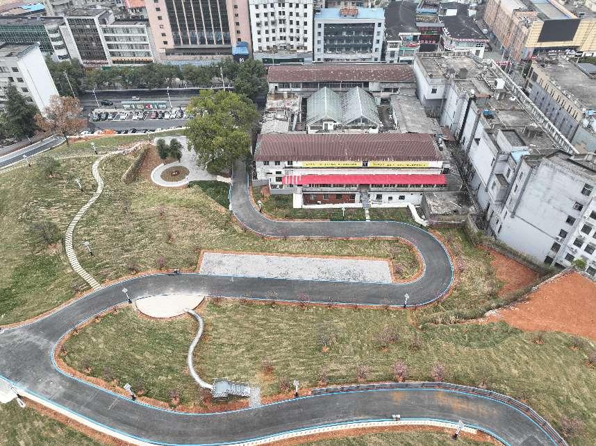 香港免费资料六曲大全